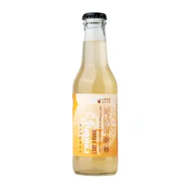 Комбуча Lion's Mane з їжовиком гребінчастим 200 ml