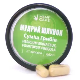 Капсули суміш грибів "Мудрий шлунок" 21 шт 4,62 г