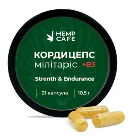 Капсули Кордицепс Мілітаріс + B3 21 шт. (курс 10 днів) 10,5 г 