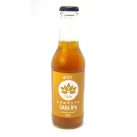 Комбуча GABA №9 DZEN з екстрактом чаю габа, смак Пепсі, 200 мл
