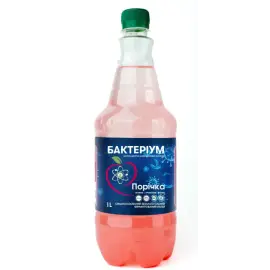 Пробіотичний напій Bacterium зі смаком порічки, 1 л в PET пляшці