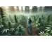 Як обрати свій ідеальний CBD-продукт: гід для новачків